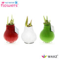 Classic Christmas Colors Mix