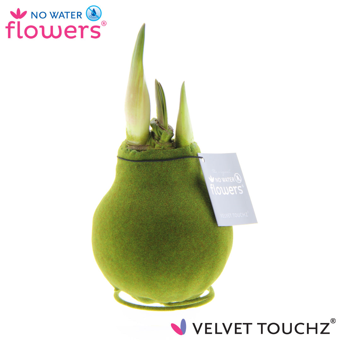 Velvet Touchz Luxe Mix