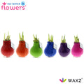 Happy Colors Mix