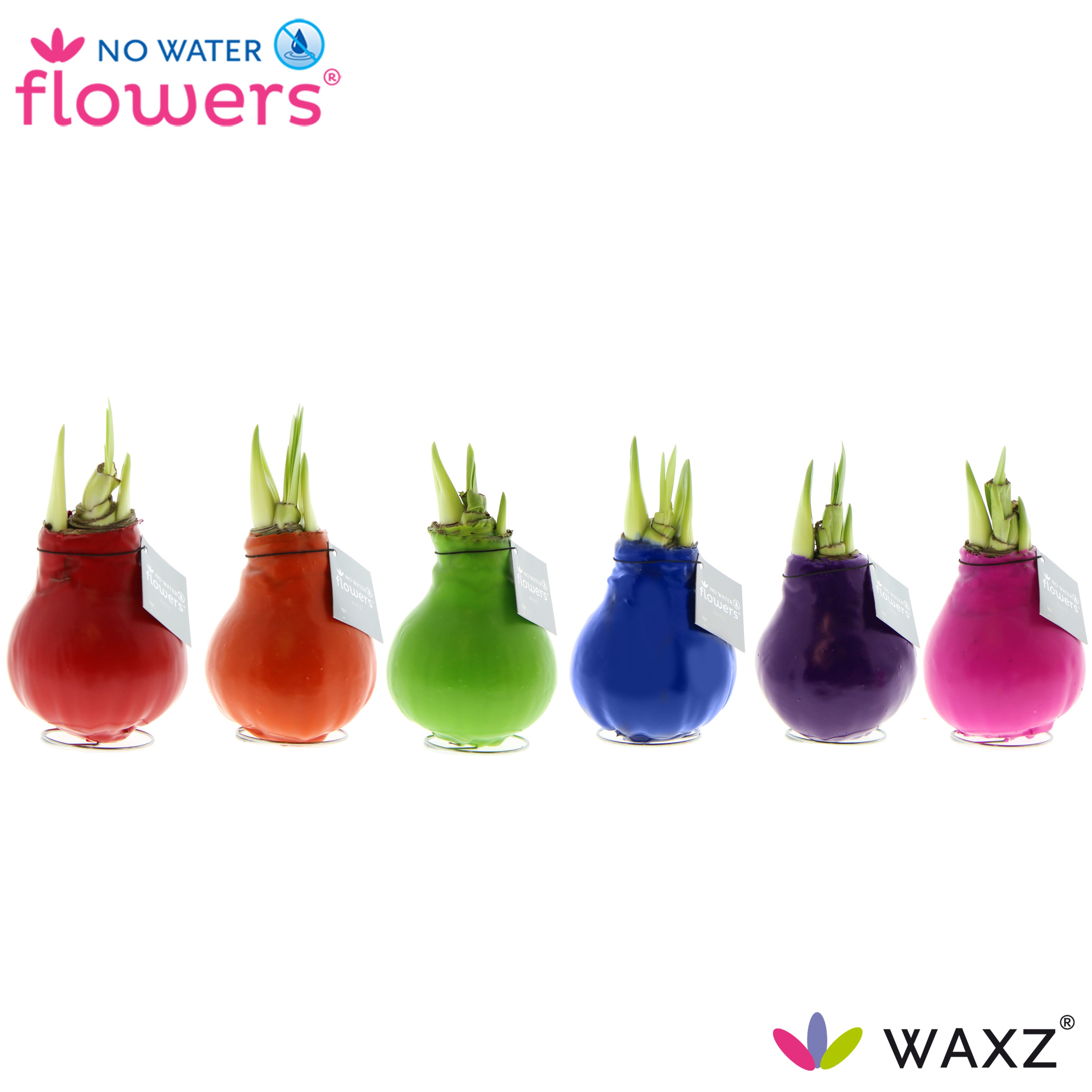 Happy Colors Mix