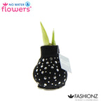 Fashionz Streetlife Mix