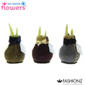 Fashionz Elegant Mix