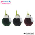 Fashionz Cozy Wooly Mix