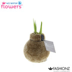 Fashionz Cozy Teddy Mix