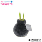 Fashionz Cozy Teddy Mix
