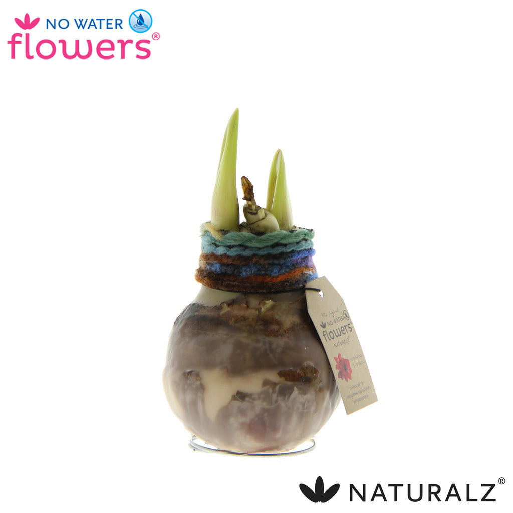 Naturalz Deco Mix