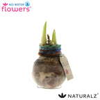 Naturalz Deco Mix