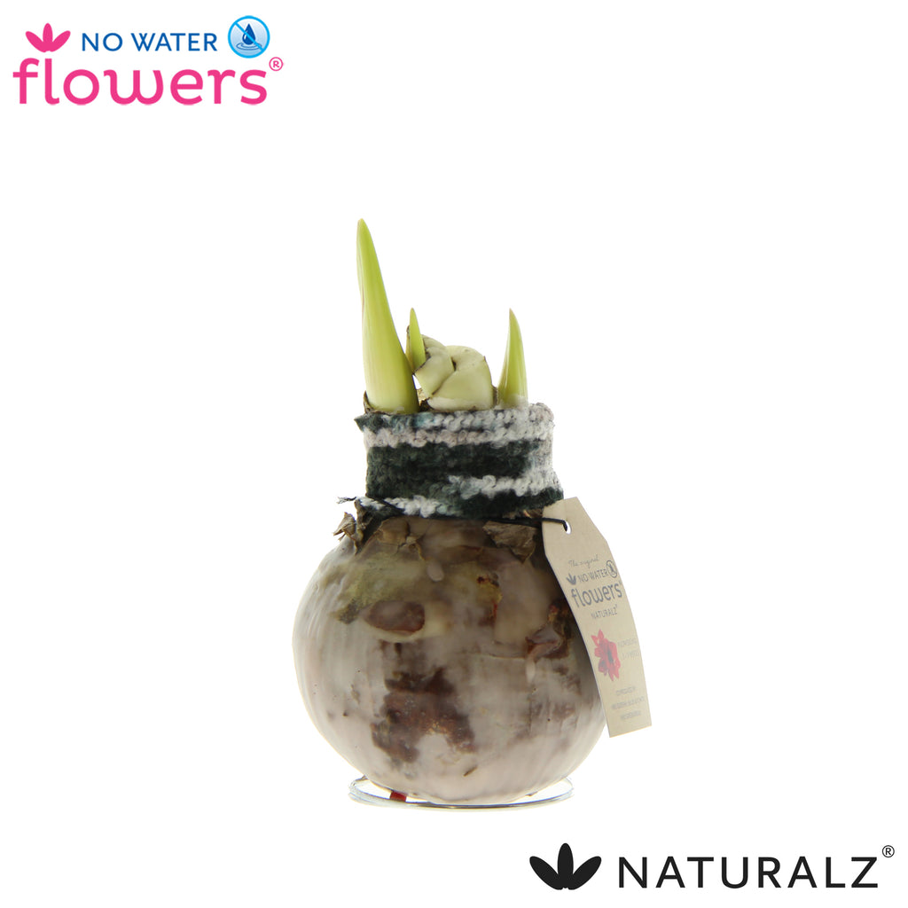 Naturalz Deco Mix