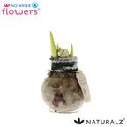 Naturalz Deco Mix