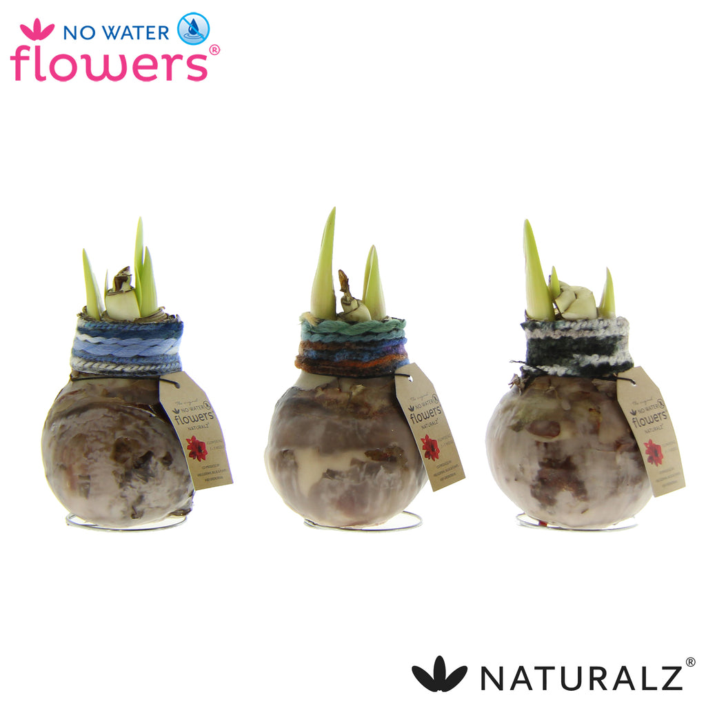 Naturalz Deco Mix