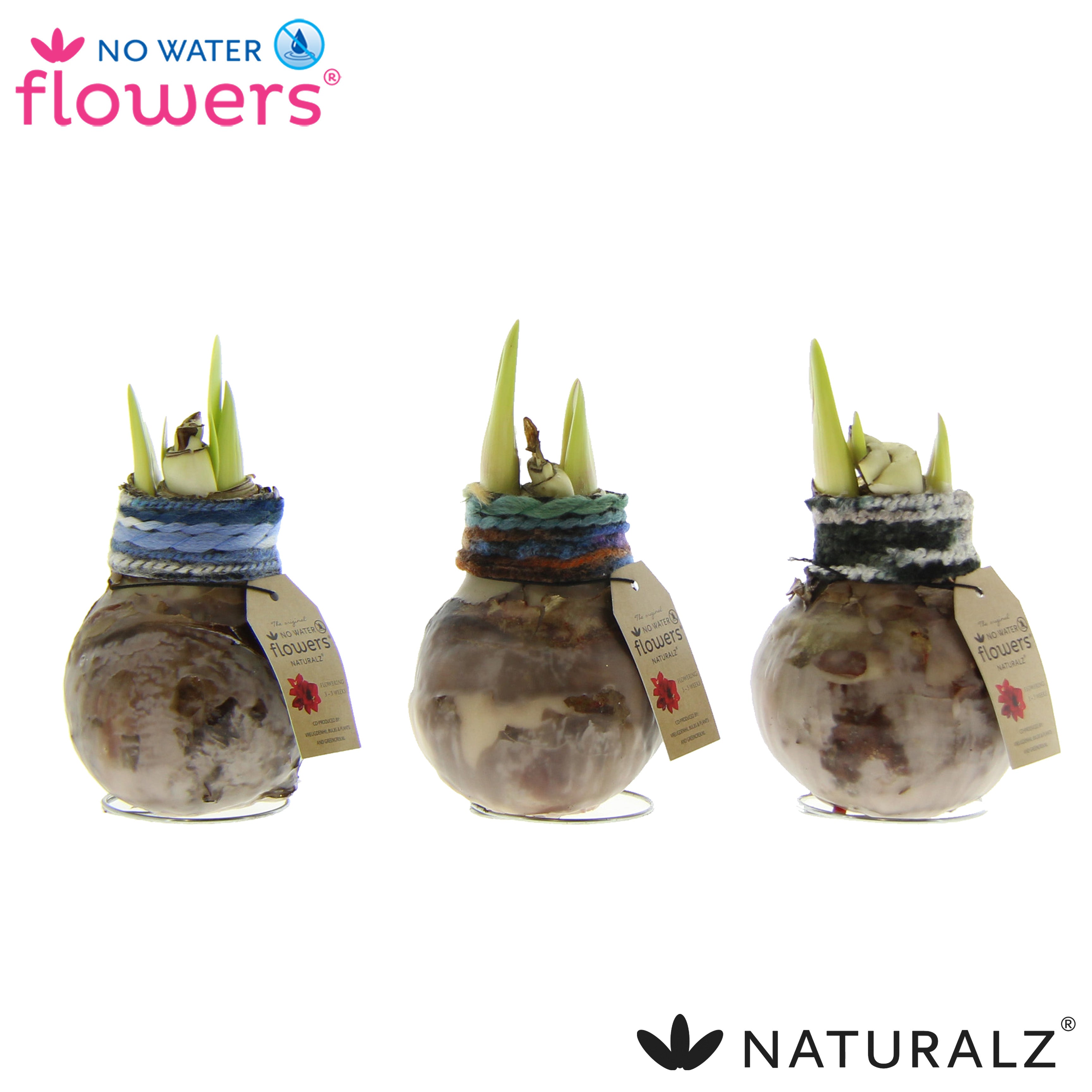 Naturalz Deco Mix