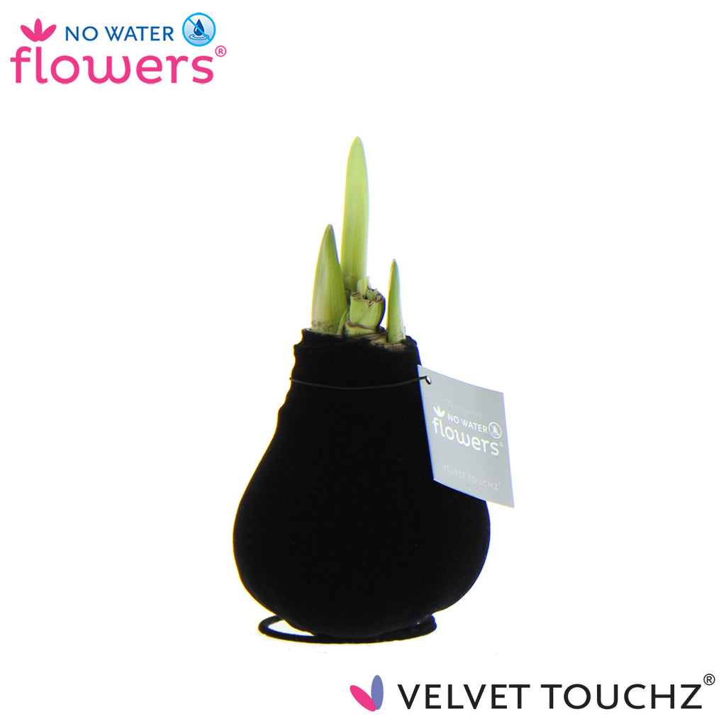 Velvet Touchz Luxe Mix