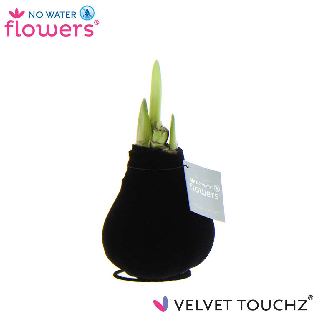 Velvet Touchz Luxe Mix