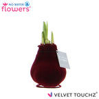 Velvet Touchz Luxe Mix