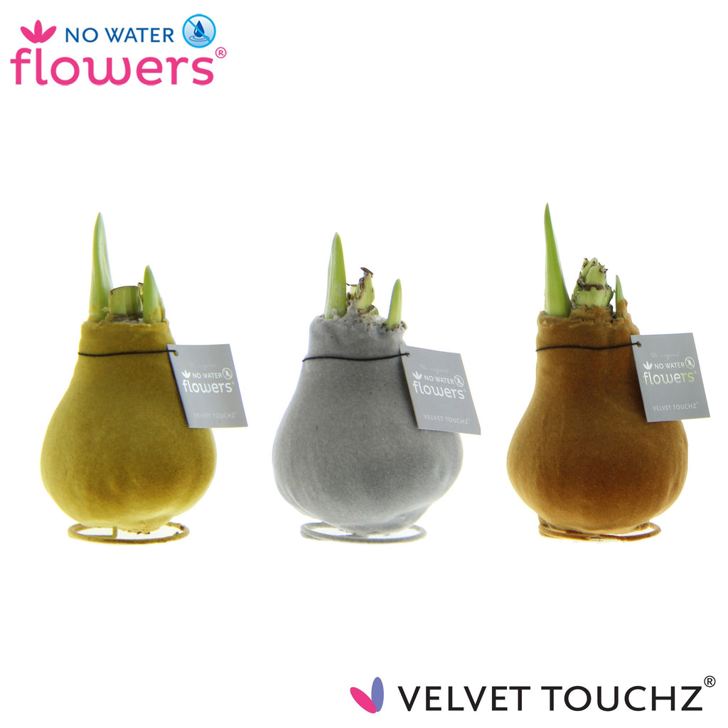 Velvet Touchz Metallic Mix