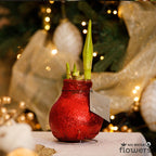 Glitterz Holiday Mix