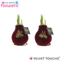 Velvet Touchz Royal Gold Mix