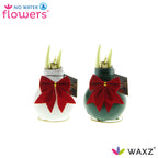 Waxz Christmas Ribbon Mix