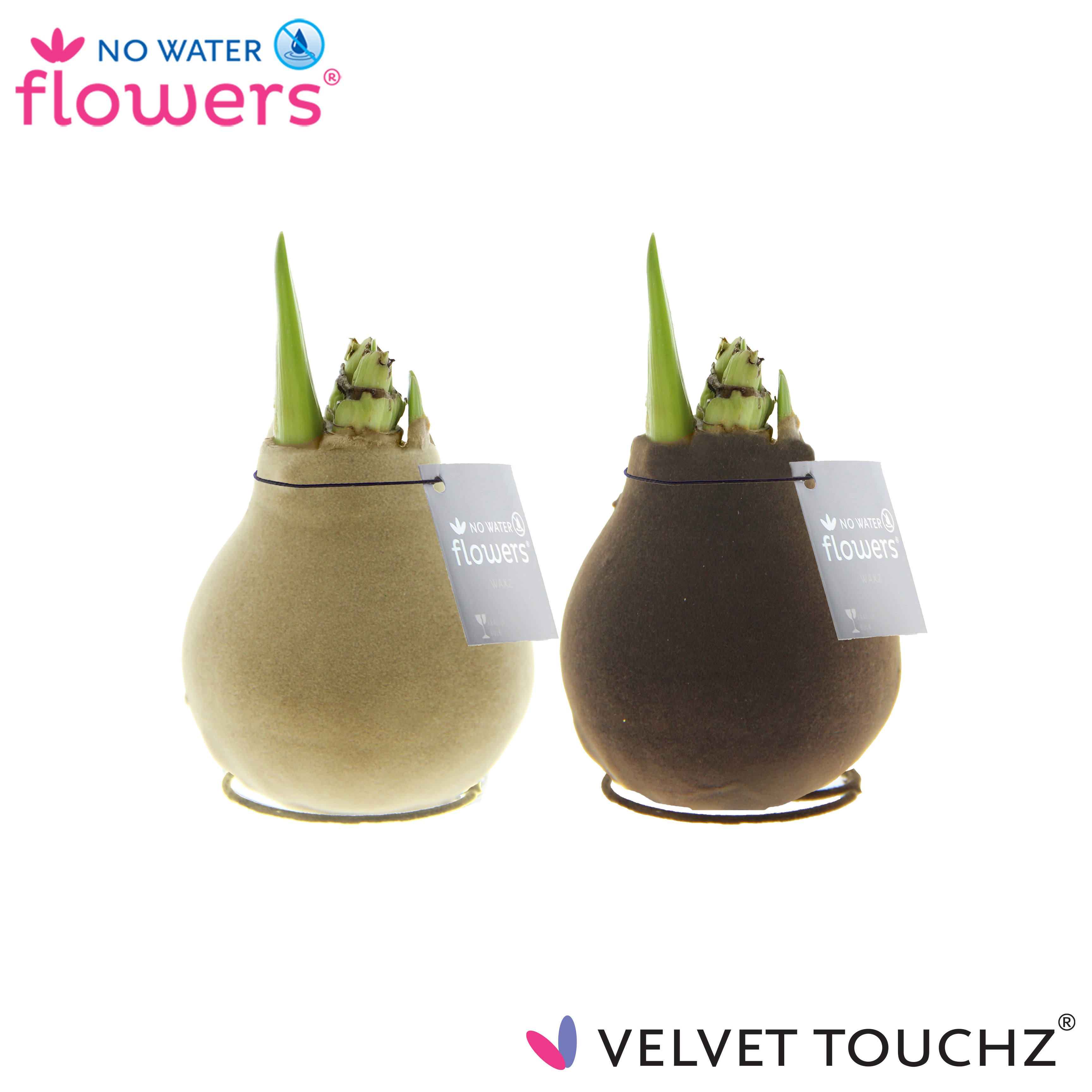 Velvet Touchz Earth Mix