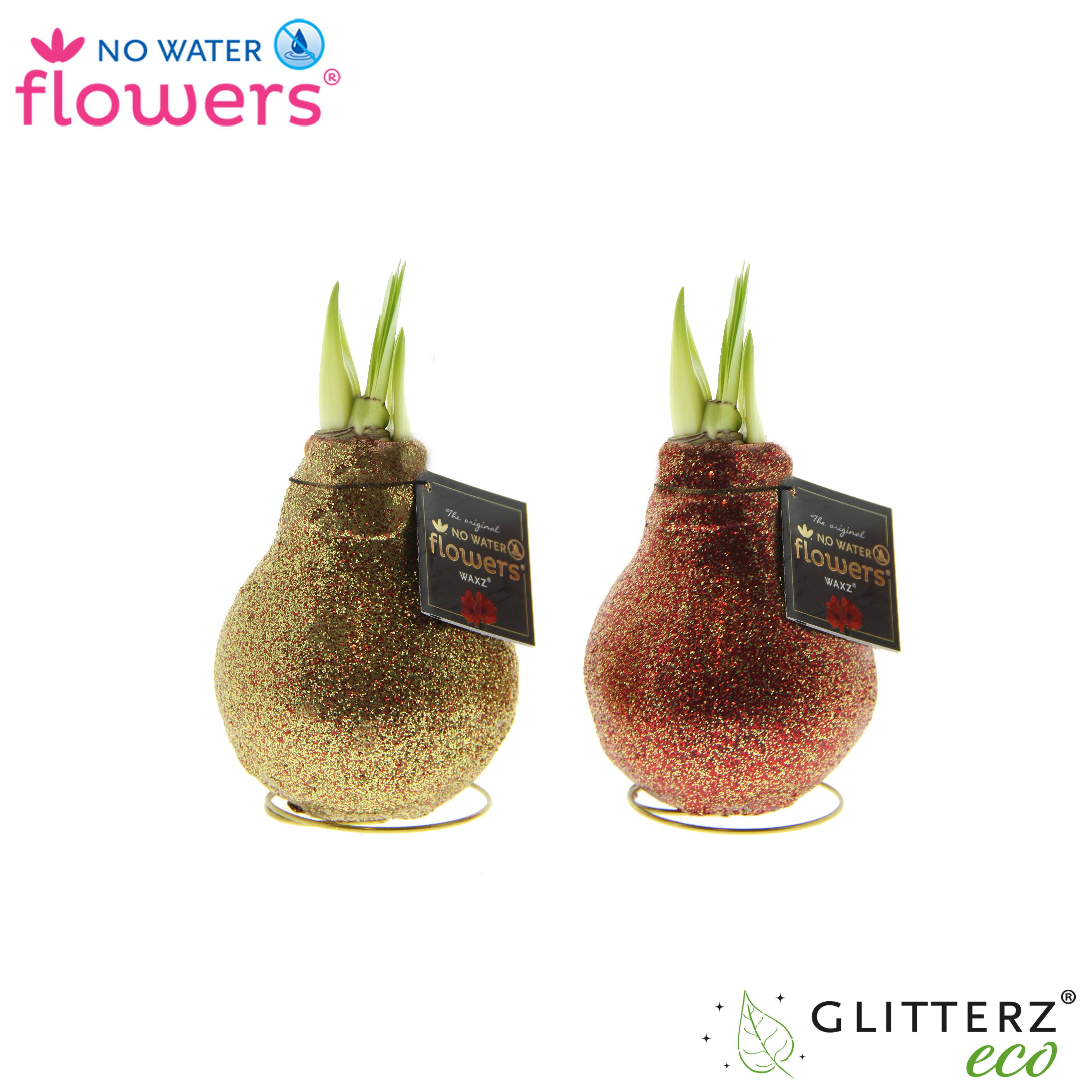 Glitterz Double Sparkle Mix
