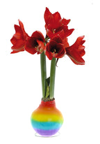 Waxz Rainbow Bulb