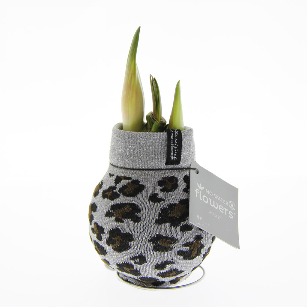 Fashionz Animal Print Mix