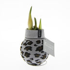 Fashionz Animal Print Mix