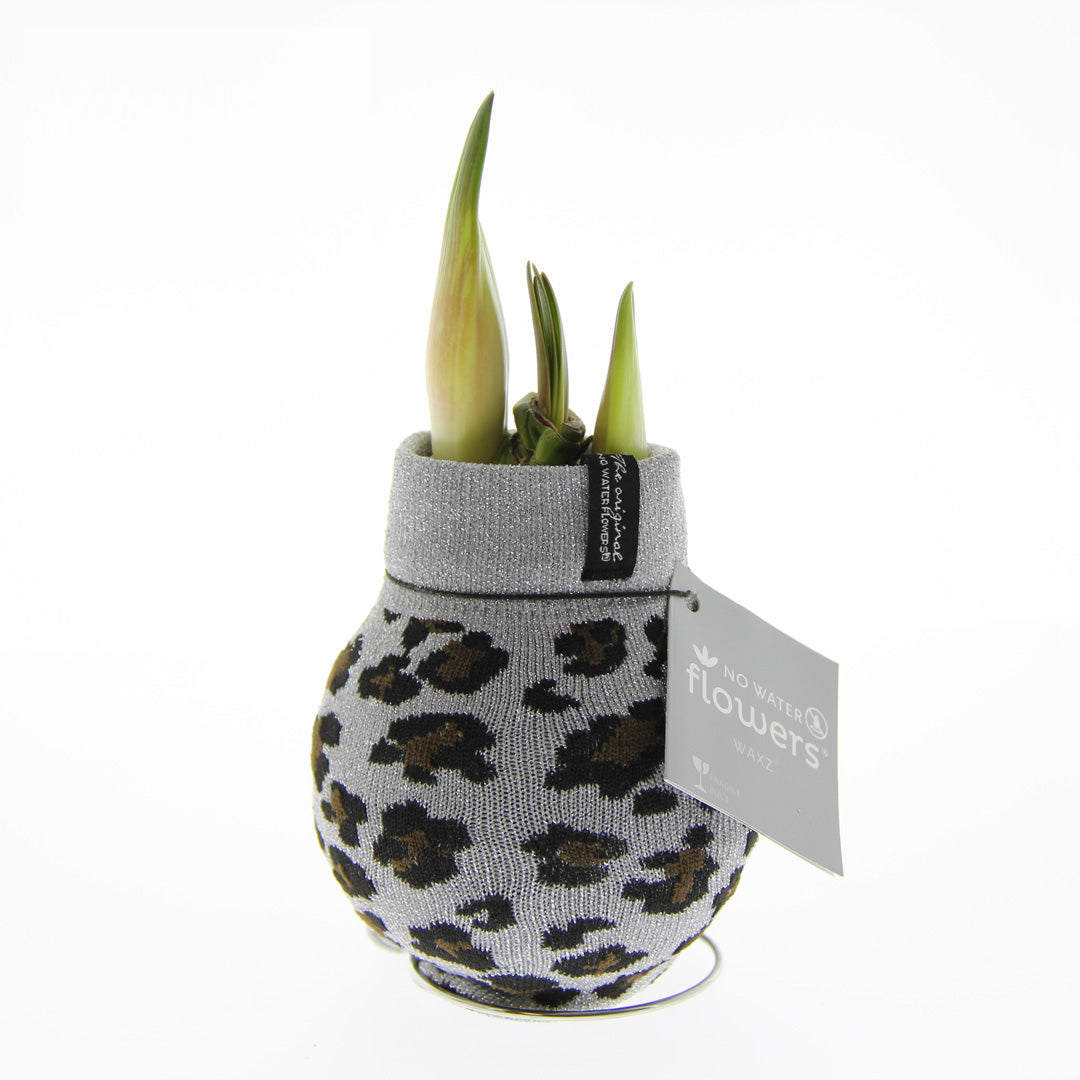 Fashionz Animal Print Mix
