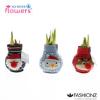 Fashions Holiday Classic Mix