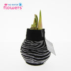 Fashionz Animal Print Mix
